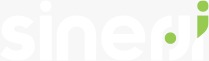 sinerji